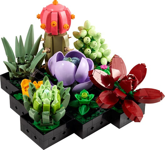 Succulents- 10309