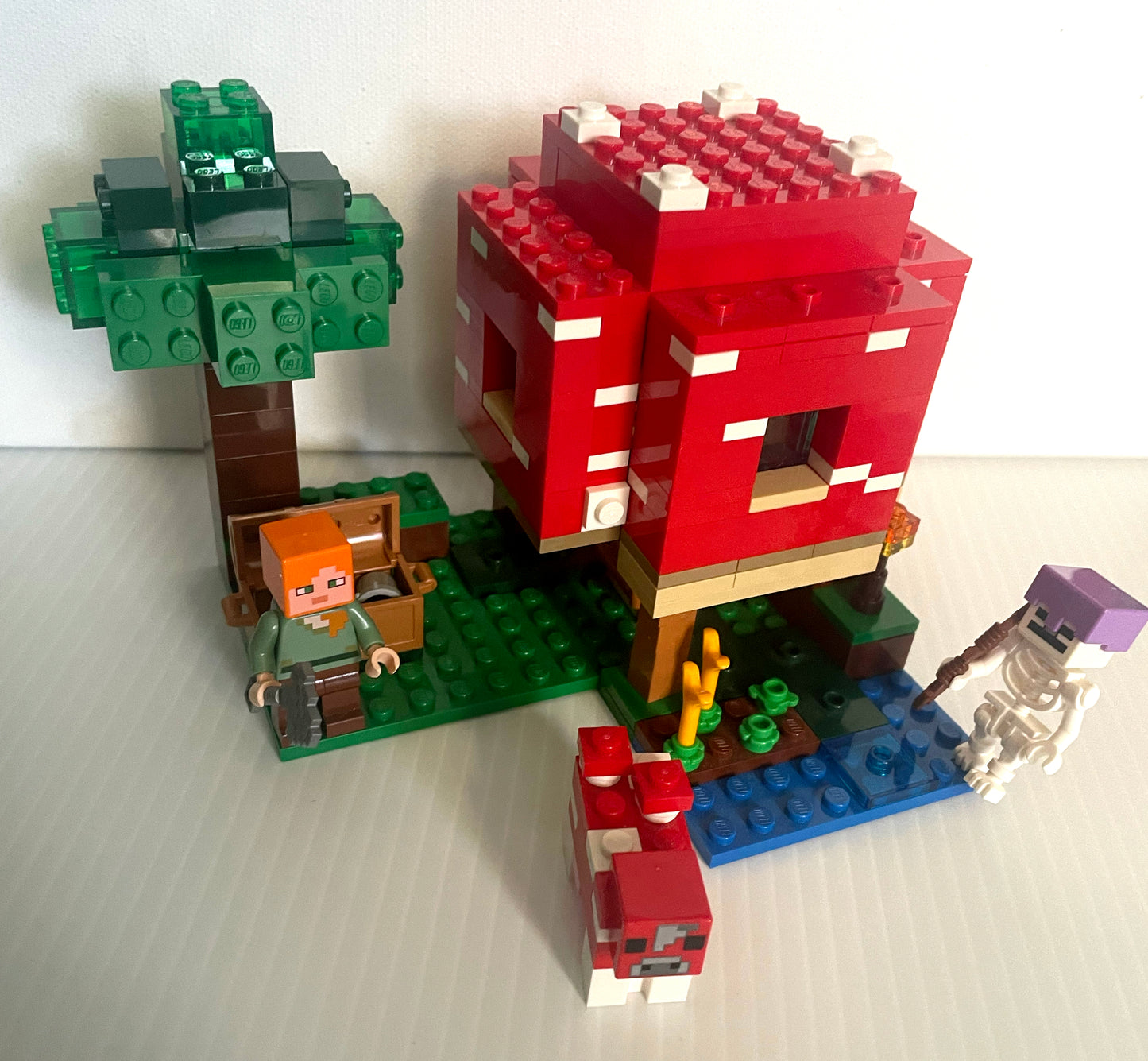 21179- Mushroom house