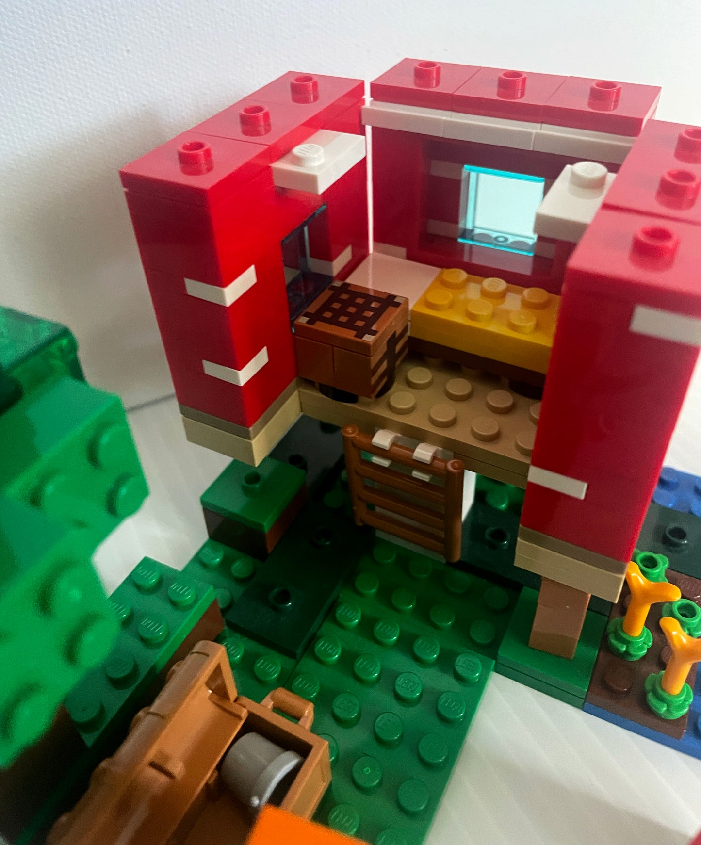 21179- Mushroom house