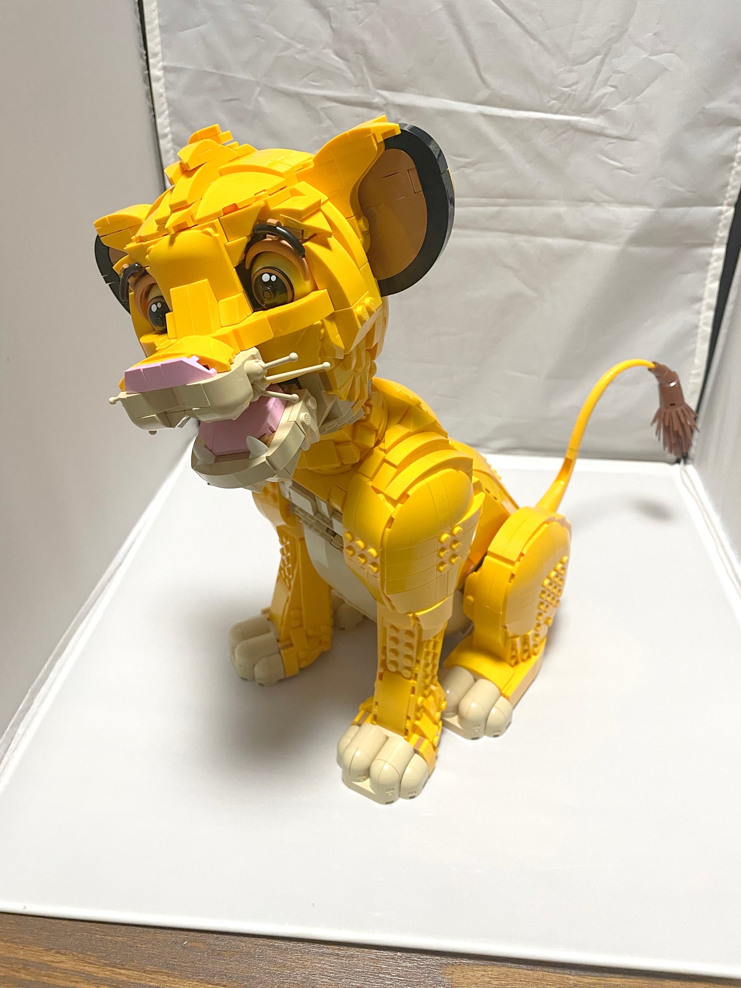 Young Simba- 43247