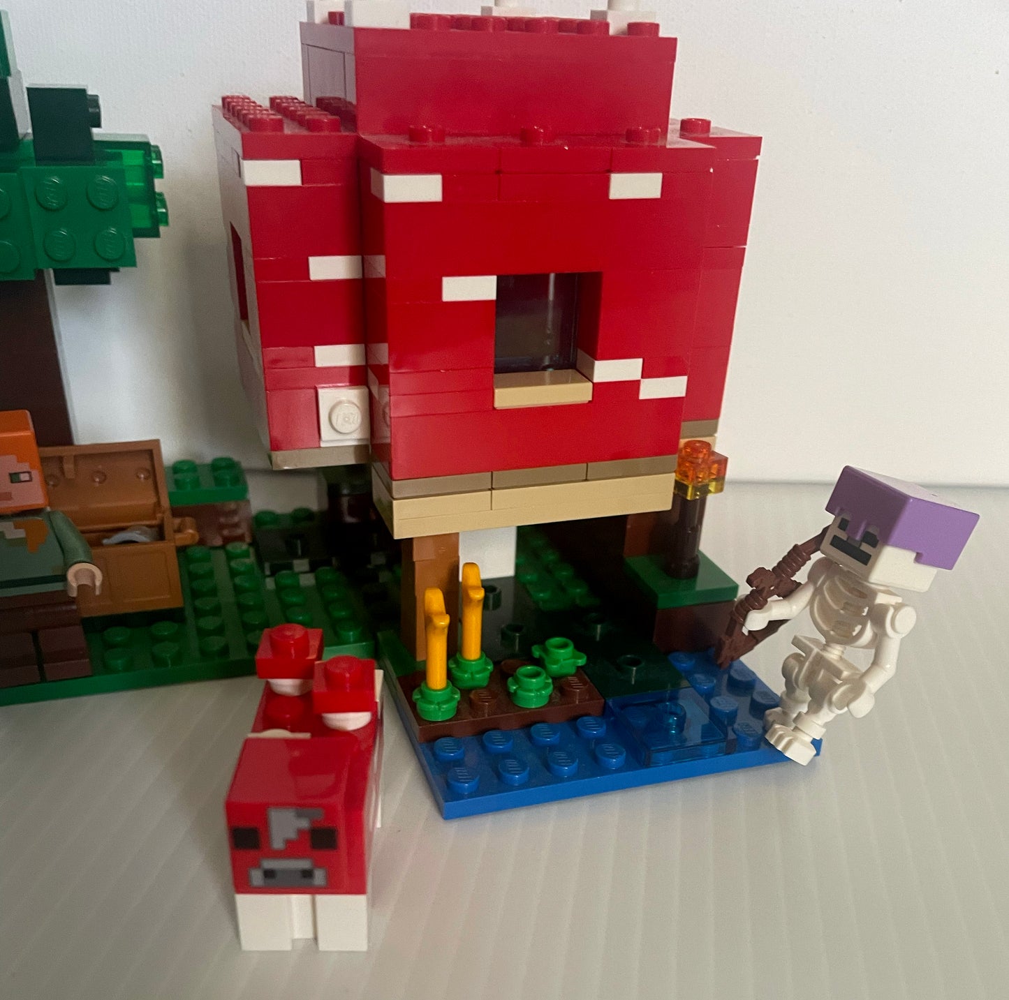 21179- Mushroom house