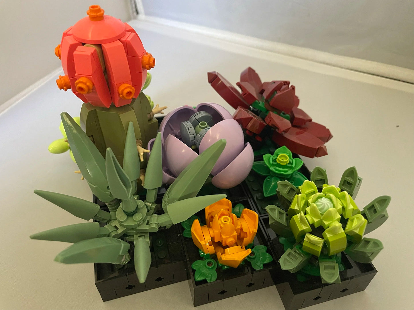 Succulents- 10309