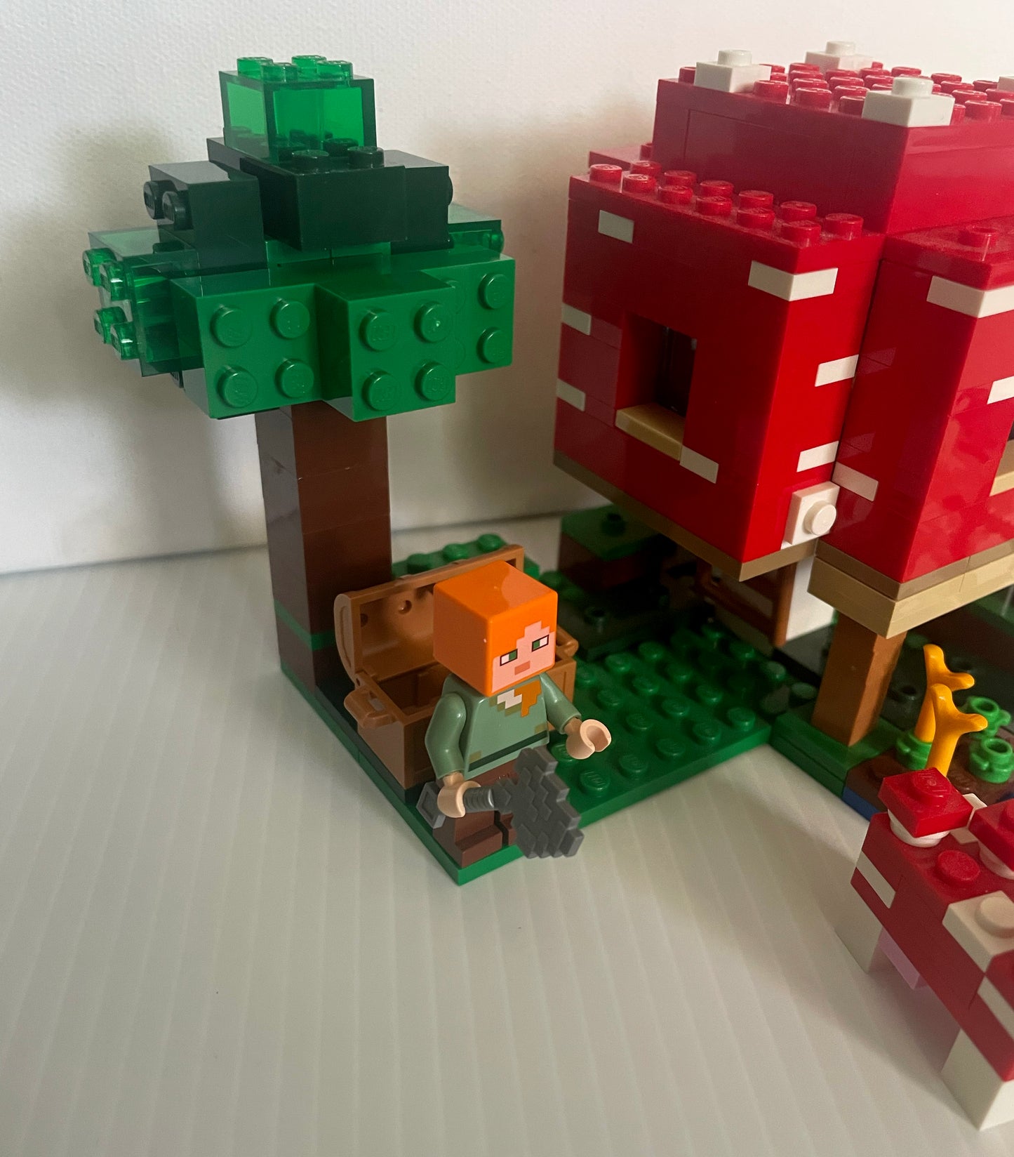 21179- Mushroom house